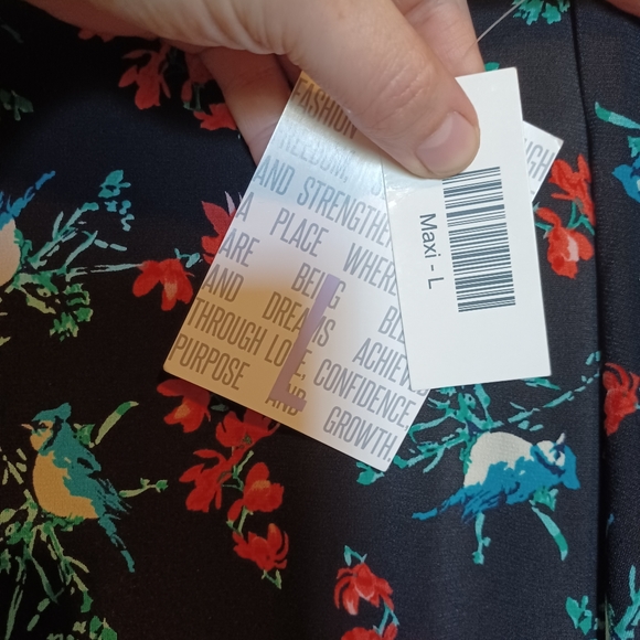 Lularoe Maxi dress, size L, NEW with tags - Picture 3 of 4